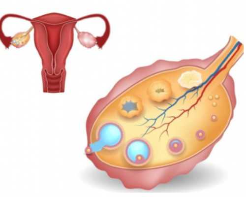 三天的胚胎可以选性别吗&绝经了还能怀孕吗,宝宝春节期间生病了饮食需要注意