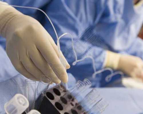 无卵泡供卵试管生子费用与选择指南