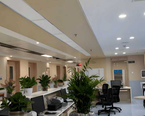 三代试管医院选择与助孕成功经验分享