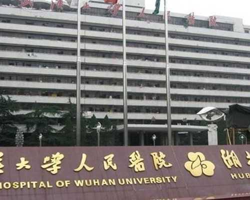 国内首例试管婴儿现状揭秘与助孕技术解析