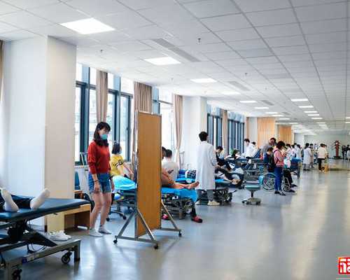 地下供卵试管与不孕治疗流程解析