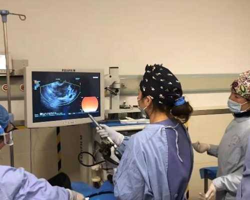 三代供卵自怀与试管生殖中心的成功经验分享