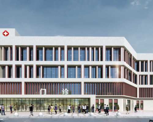 专业借卵与三代试管性别选择指南