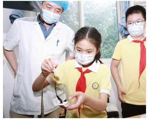 赴泰试管助孕的可靠性及正规性解析