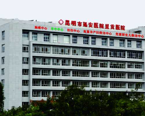 试管移植成功率解析与提升策略