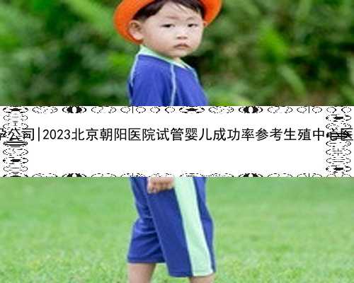 北京a69代孕公司|2023北京朝阳医院试管婴儿成功率参考生殖中心医生排名推荐